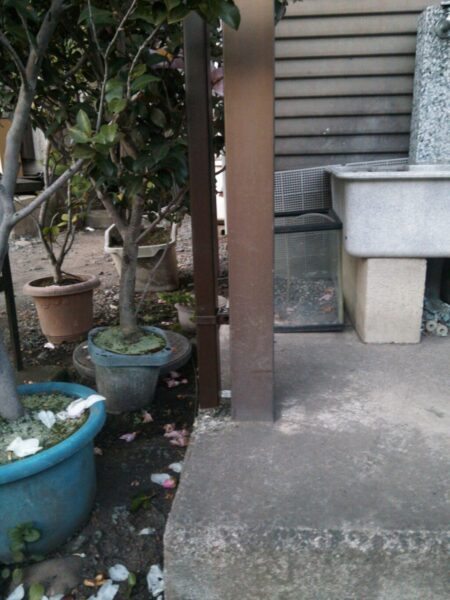 雨といアフター