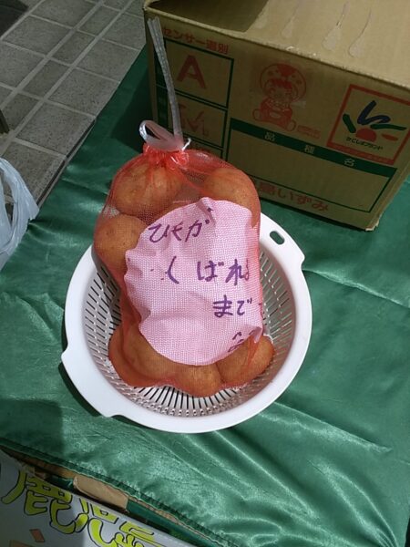 電ねっと大創業祭レポート！